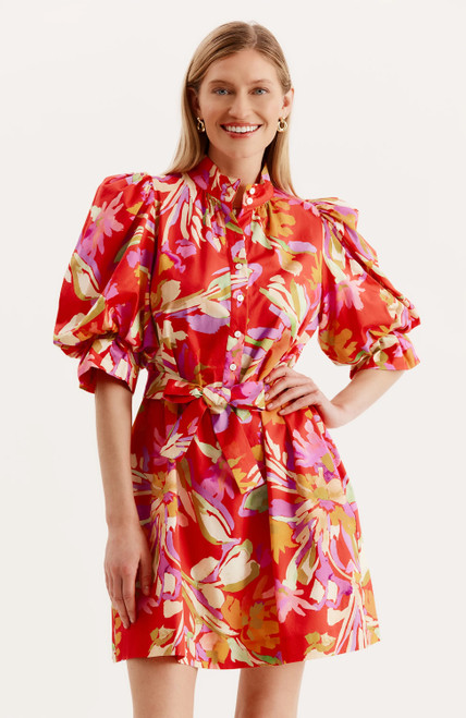 Lydia Mini Dress - Multi